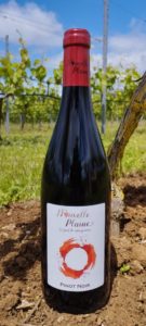 Vin rouge Pinot Noir 2021 de Nouvelle Plaine